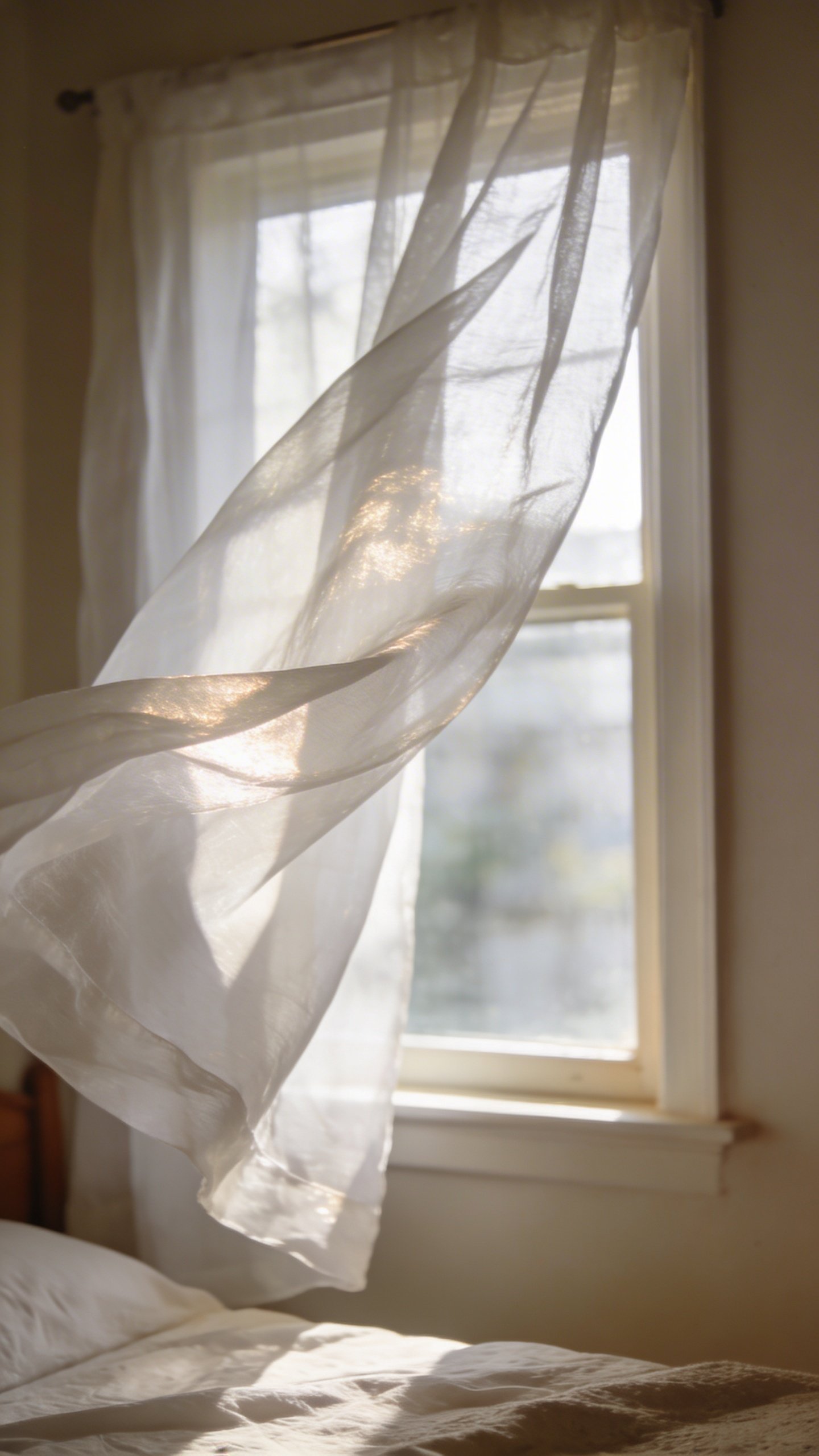 Single bedroom window with translucent white fabric drapes