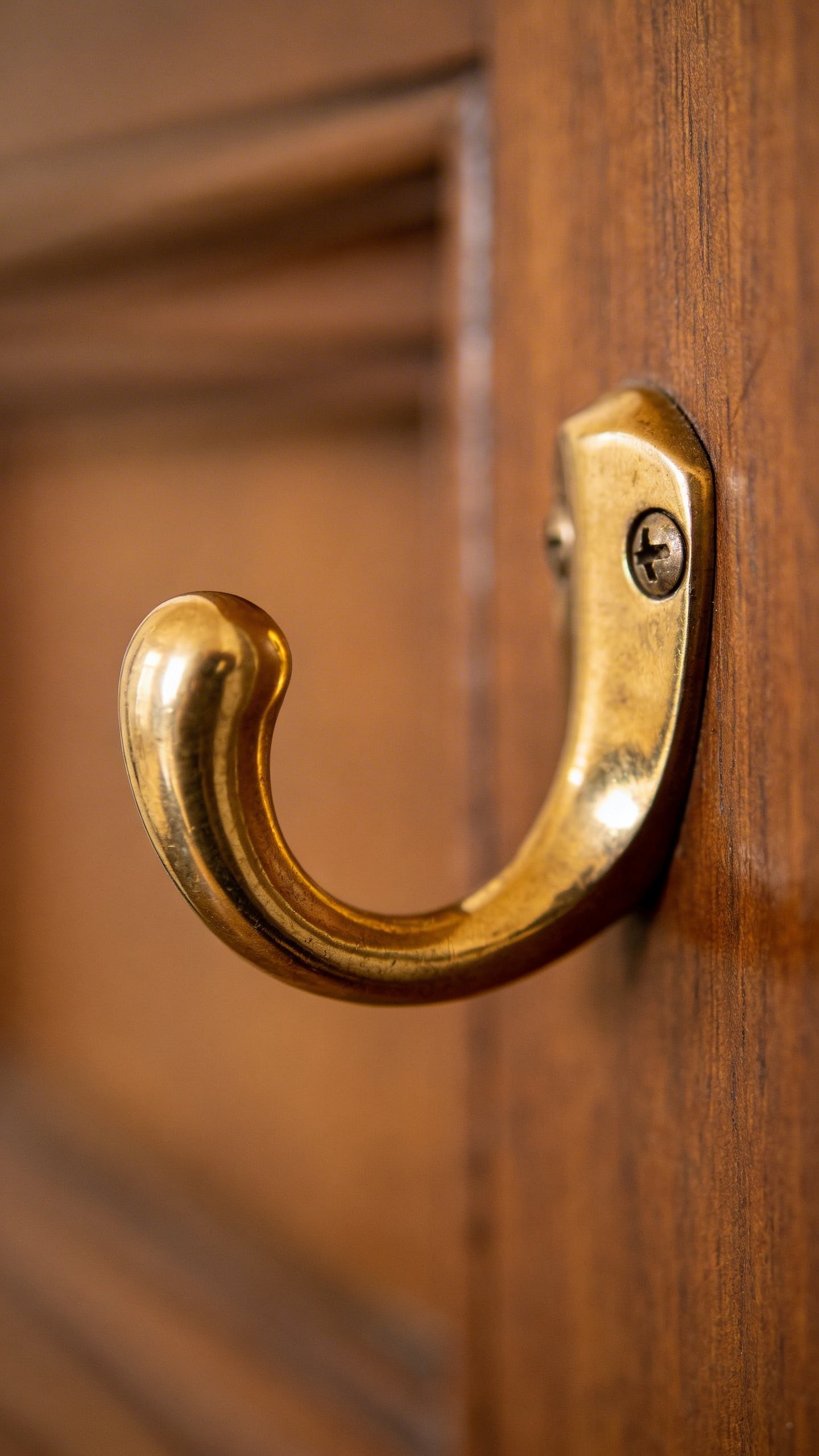 Closeup of brass wall-mounted hook on door