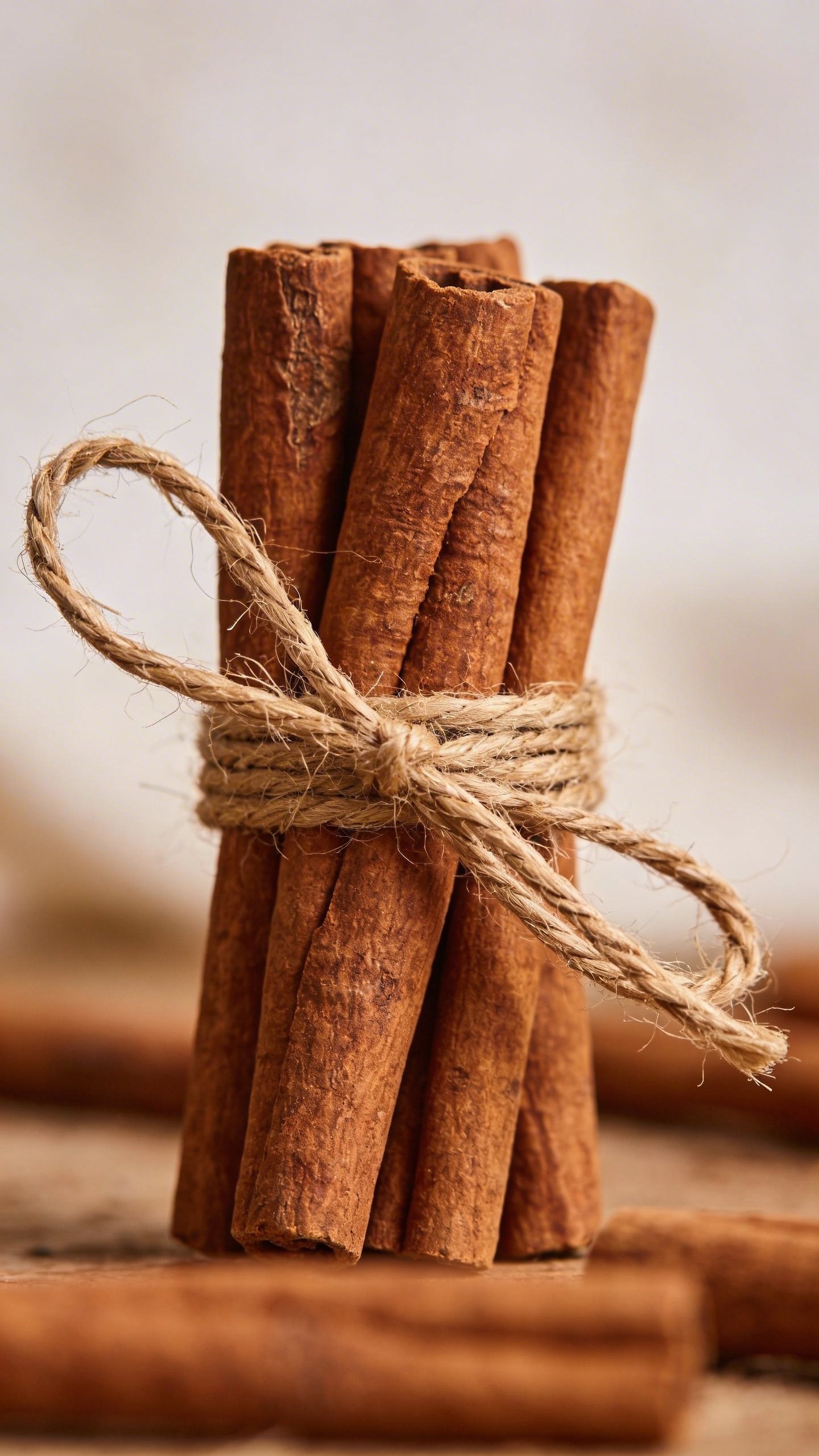 Single cinnamon stick bundle tied with natural twine
