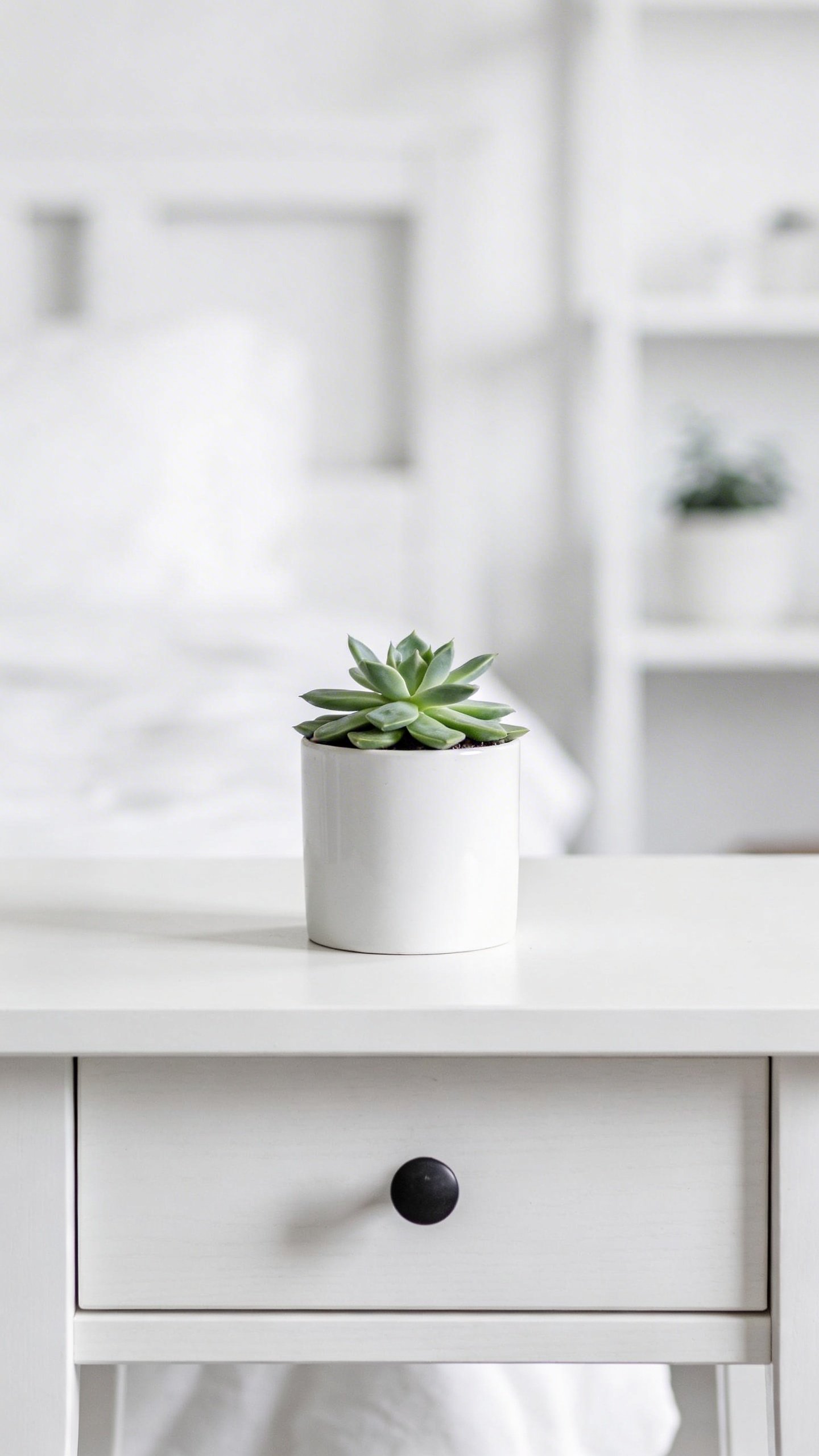 Minimalist white nightstand with single small succulent plant